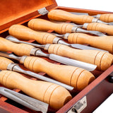 Baladonia Wood Carving Tools Starter Set of 12 with Storage Box